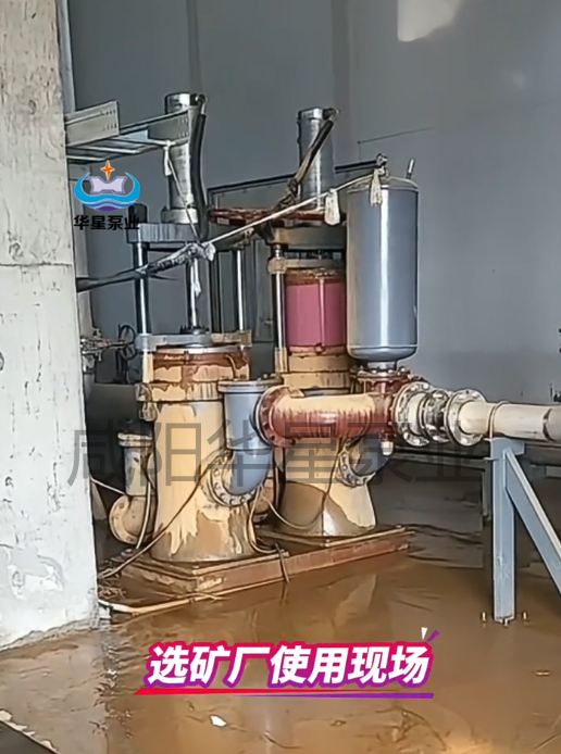 b8f01af29d98735a9b715fe9f0f8d54c b8f01af29d98735a9b715fe9f0f8d54c